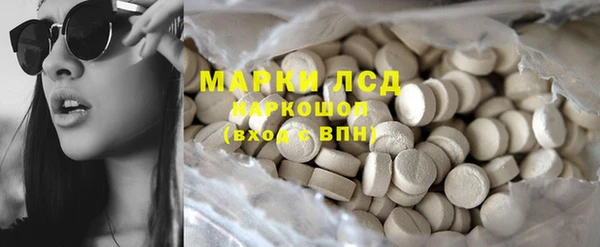 прущие грибы Абинск