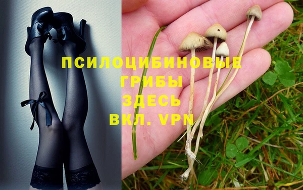 Альфа ПВП Алзамай