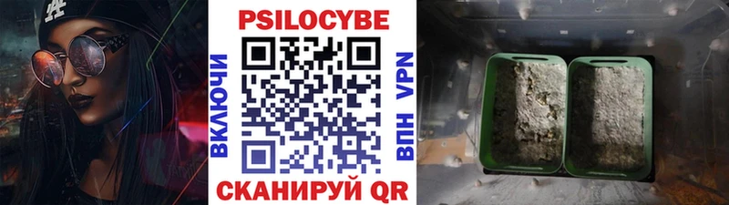 даркнет сайт  Усинск  Псилоцибиновые грибы GOLDEN TEACHER 